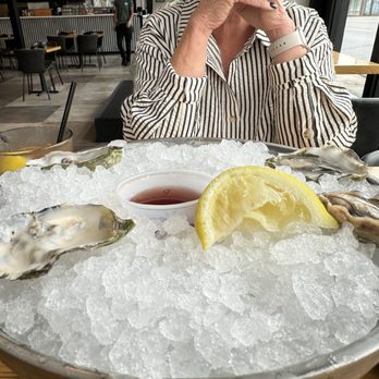 The Oyster Bar - What's left of the oysters!! - Seafood Near Me - Little Rock, Arkansas The Oyster Bar - What's left of the oysters!! - Seafood Near Me - Little Rock, Arkansas