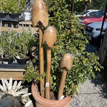 The Station on Kings - Wooden artist-made mushrooms in the outdoor sections - Cafes Near Me - Lewes, Delaware The Station on Kings - Wooden artist-made mushrooms in the outdoor sections - Cafes Near Me - Lewes, Delaware