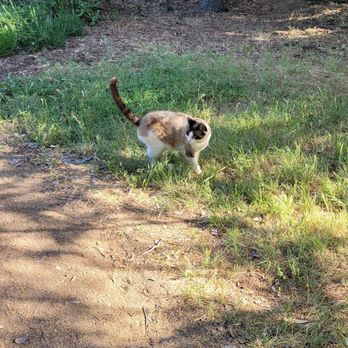 Markham Nature Park & Arboretum - Parks Near Me - Concord, California