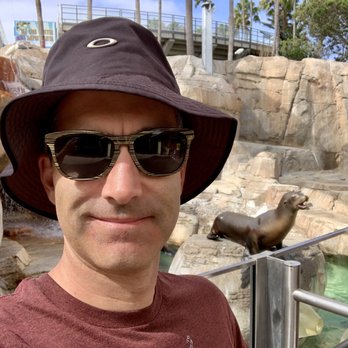 Sea Lions Live - Performing Arts Near Me - San Diego, California Sea Lions Live - Performing Arts Near Me - San Diego, California