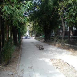 Parque Xicoténcatl