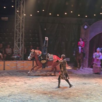 Cirque Ma'Ceo - Venues & Event Spaces Near Me - Lutz, Florida