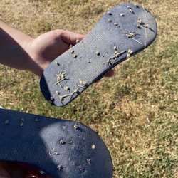 The Rusty Boot RV Park