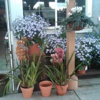 Armstrong Garden Centers - Nurseries & Gardening Near Me - Carlsbad, California Armstrong Garden Centers - Nurseries & Gardening Near Me - Carlsbad, California