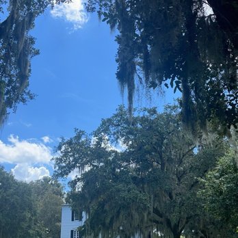 Hopsewee Plantation - Historical Tours Near Me - Georgetown, South Carolina Hopsewee Plantation - Historical Tours Near Me - Georgetown, South Carolina