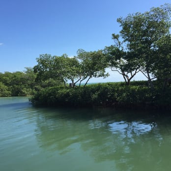 Island Grill - Waterfront dining!!! - Seafood Near Me - Islamorada, Florida Island Grill - Waterfront dining!!! - Seafood Near Me - Islamorada, Florida