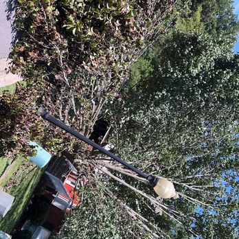 Miguel's Tree Services - Tree Services Near Me