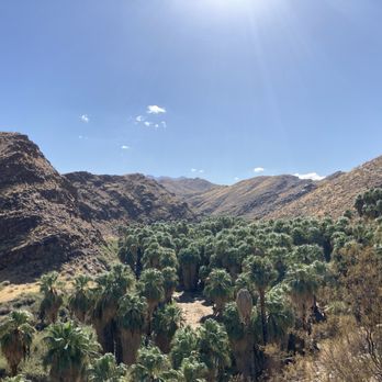 Indian Canyons - Parks Near Me - Palm Springs, California