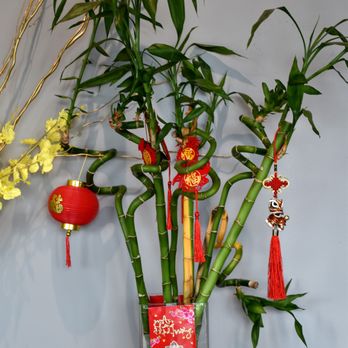 Viet Taste - Decoration - Vietnamese Near Me - Palatine, Illinois Viet Taste - Decoration - Vietnamese Near Me - Palatine, Illinois