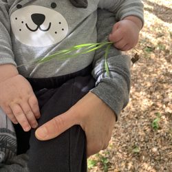 Milkful Breastfeeding