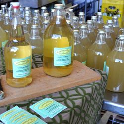 CommuniTea Kombucha
