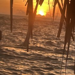 St Pete Tiki Tours - Sunset