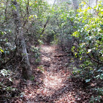 Queen's River Nature Preserve - Lovely trail, filled with mountain laurel - Hiking Near Me - Exeter, Rhode Island