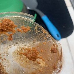 ows a spoon full of food