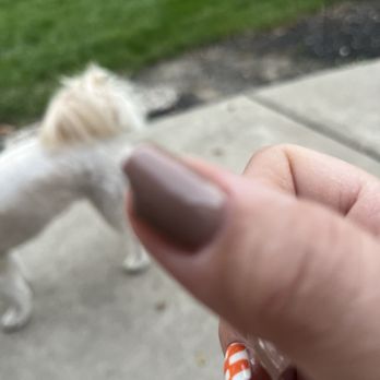 Lilly Nails & Spa - Nail Salons Near Me - Fishers, Indiana