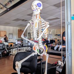 STAR Physical Therapy - "Bones." Yes, I posed it (I'm a joker, lol). 1 of many tools used for patient education. Colored areas highlight muscle attachments!