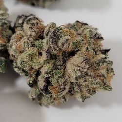 Sweet Mother of Grapes