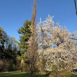 Memorial Park