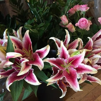 Jayne's Flowers - Florists Near Me - Belmont, Massachusetts