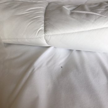 Hotel Burbank - Hotels Near Me - Burbank, California