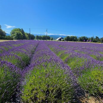 B & B Family Farm - Walking Tours Near Me - Sequim, Washington