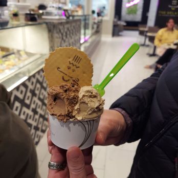 The Gelatist - Lisa, yummy chocolate gelato - Gelato Near Me - Katy, Texas The Gelatist - Lisa, yummy chocolate gelato - Gelato Near Me - Katy, Texas