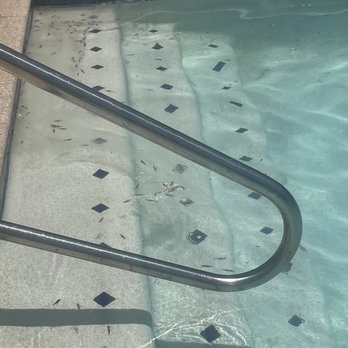 The Place at Sonoran Trails - Grossly unkept pool.. - Apartments Near Me - Phoenix, Arizona The Place at Sonoran Trails - Grossly unkept pool.. - Apartments Near Me - Phoenix, Arizona