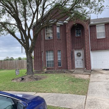 Ramos Tree And Land Service - tree trimming we love too leave our trees as spectacular give us a call now! - Tree Services Near Me Ramos Tree And Land Service - tree trimming we love too leave our trees as spectacular give us a call now! - Tree Services Near Me