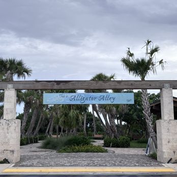 Everglades Elevated Boardwalk - Alligator Alley! - Landmarks & Historical Buildings Near Me - Weston, Florida Everglades Elevated Boardwalk - Alligator Alley! - Landmarks & Historical Buildings Near Me - Weston, Florida