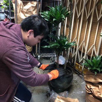 Rainbow - Nurseries & Gardening Near Me - Rosemead, California Rainbow - Nurseries & Gardening Near Me - Rosemead, California