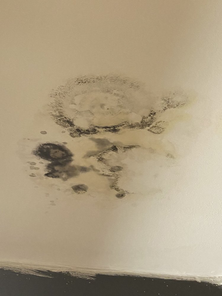 CSC APARTMENTS HOUSTON Updated July 2024 3618 Garrott St, Houston