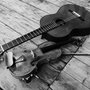 Photo of Larkspur Strings