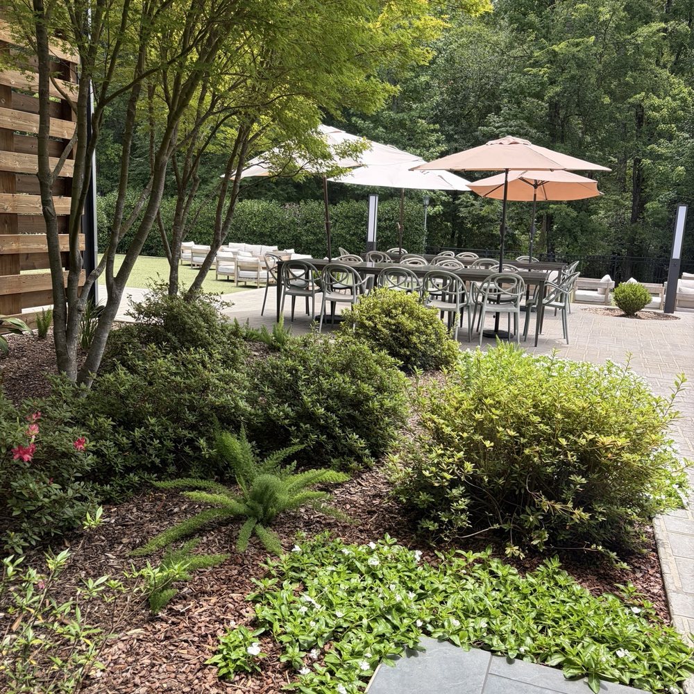 The Grove Kitchen & Gardens - Outdoor sitting - American Near Me - Tyler, Texas The Grove Kitchen & Gardens - Outdoor sitting - American Near Me - Tyler, Texas
