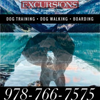 K9 Excursions - Dog Walkers Near Me K9 Excursions - Dog Walkers Near Me