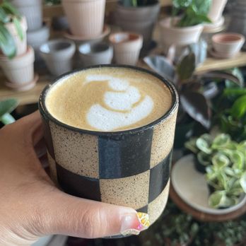 The Greenhouse Bar - Cute mug - Coffee & Tea Near Me - Jacksonville, Florida The Greenhouse Bar - Cute mug - Coffee & Tea Near Me - Jacksonville, Florida