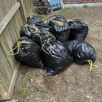 CA Landscaping Services - Raking 10 bags of thatch from yard - Landscaping Near Me CA Landscaping Services - Raking 10 bags of thatch from yard - Landscaping Near Me