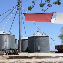 Schattenbol at DeCock Farm