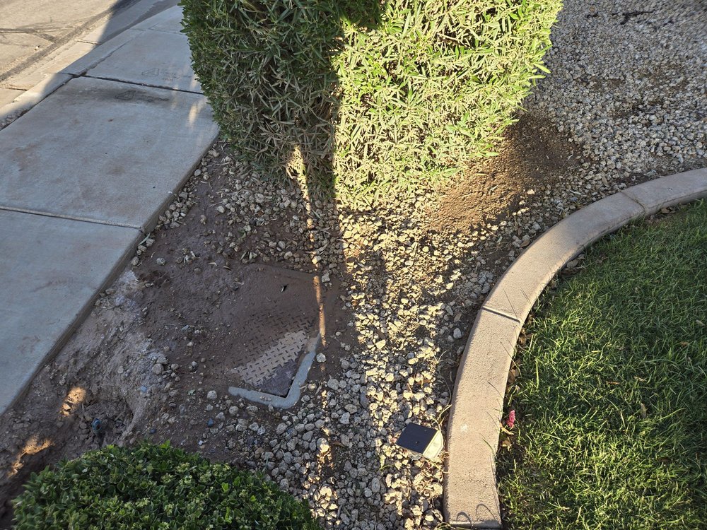 Ivy Tree Service - tree service in Mesa, AZ