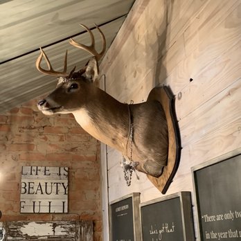 Mountain Treasures - Furniture Stores Near Me - Ellijay, Georgia