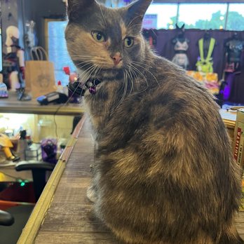 Medusas - Tiffany! - Adult Shops Near Me - Rochester, New York