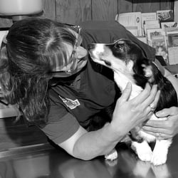 Unleashed Veterinary Care