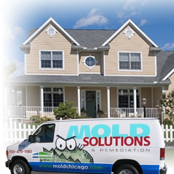 Mold Solutions - Home Inspectors Near Me - Frankfort, Illinois Mold Solutions - Home Inspectors Near Me - Frankfort, Illinois