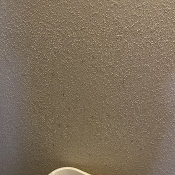 Quality Inn & Suites - Dirty wall, looks like someone threw a cup and it splattered. - Hotels Near Me - Brooks, Kentucky Quality Inn & Suites - Dirty wall, looks like someone threw a cup and it splattered. - Hotels Near Me - Brooks, Kentucky