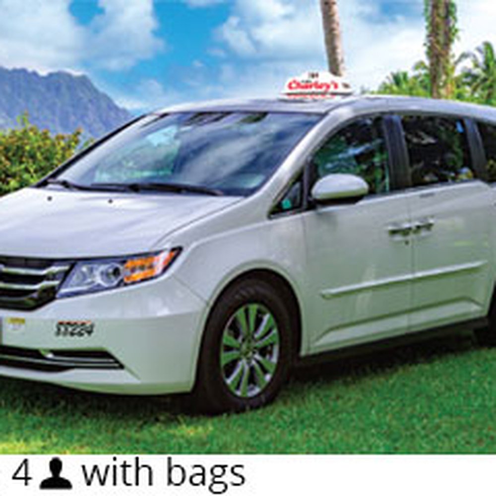 Minivan picked us up plus 5 luggage!