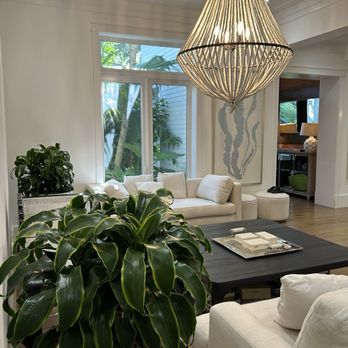 Happy Trees - Indoor Landscaping Near Me Happy Trees - Indoor Landscaping Near Me