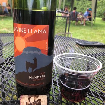 Divine Llama Vineyard - Outside drinking only - Wineries Near Me - East Bend, North Carolina
