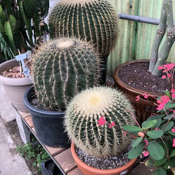 Southwest Gardens - Nurseries & Gardening Near Me - Wheat Ridge, Colorado Southwest Gardens - Nurseries & Gardening Near Me - Wheat Ridge, Colorado
