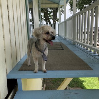 Clean Pups Grooming - Pet Groomers Near Me - Katy, Texas Clean Pups Grooming - Pet Groomers Near Me - Katy, Texas