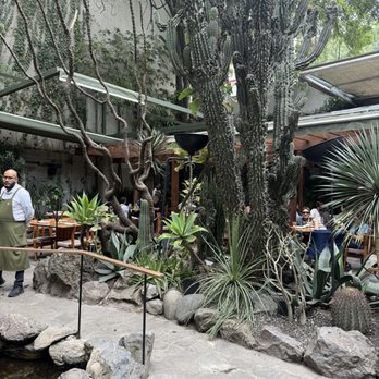 Botánico - Seafood Near Me - México, D.F., DIF Botánico - Seafood Near Me - México, D.F., DIF