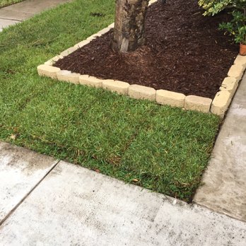 American Arbor Services - Tree Services Near Me - Pembroke Pines, Florida American Arbor Services - Tree Services Near Me - Pembroke Pines, Florida